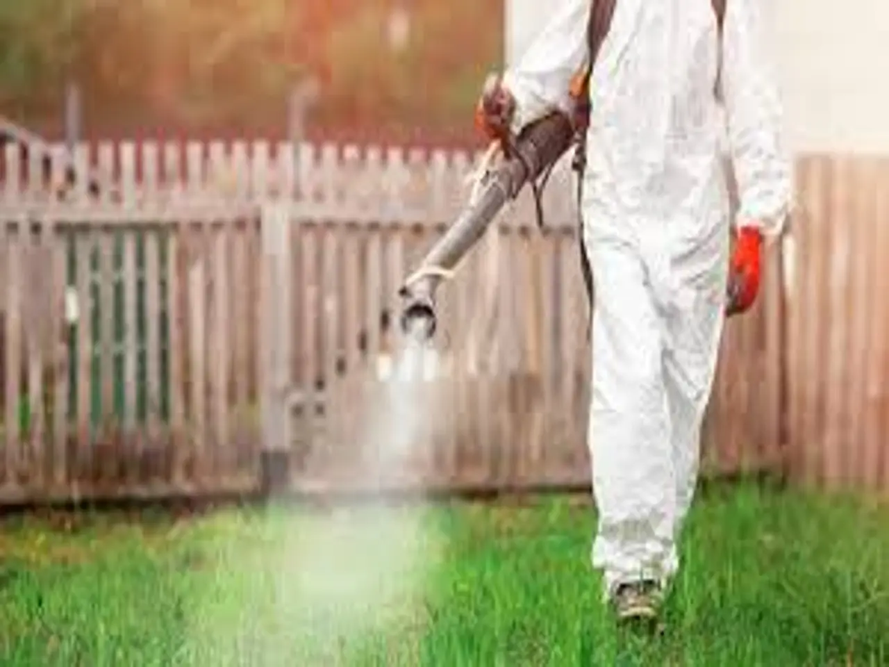 Che cos’è la disinfestazione antilarvale? Ecco cosa devi sapere